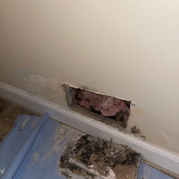 Willow Creek Apartments - Bathroom wall full of mold - Apartments Near Me - Portage, Indiana Willow Creek Apartments - Bathroom wall full of mold - Apartments Near Me - Portage, Indiana