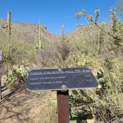 Agua Caliente Hill
