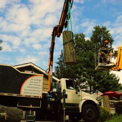 Princeton Tree Care