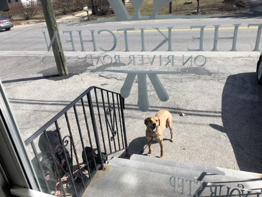 The Kitchen on River Road by null