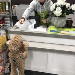 Home Sense - Please wrap my new flowers carefully!
