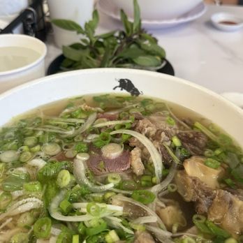 Pho Duoi Bo - Phở Đuôi Bò Đặc Biệt and Phở Tái KOBE... - Vietnamese Near Me - San Jose, California Pho Duoi Bo - Phở Đuôi Bò Đặc Biệt and Phở Tái KOBE... - Vietnamese Near Me - San Jose, California