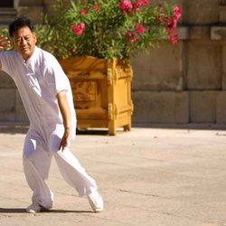 Tai Chi Lyon