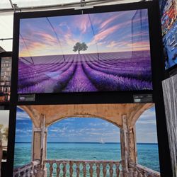 Edina Art Fair
