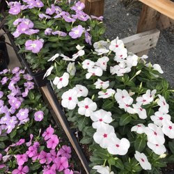 Victory Nursery & Landscaping