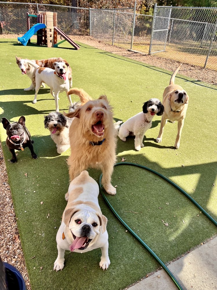 FOX CREEK ANIMAL LODGE Updated October 2024 132 T K Allen Rd