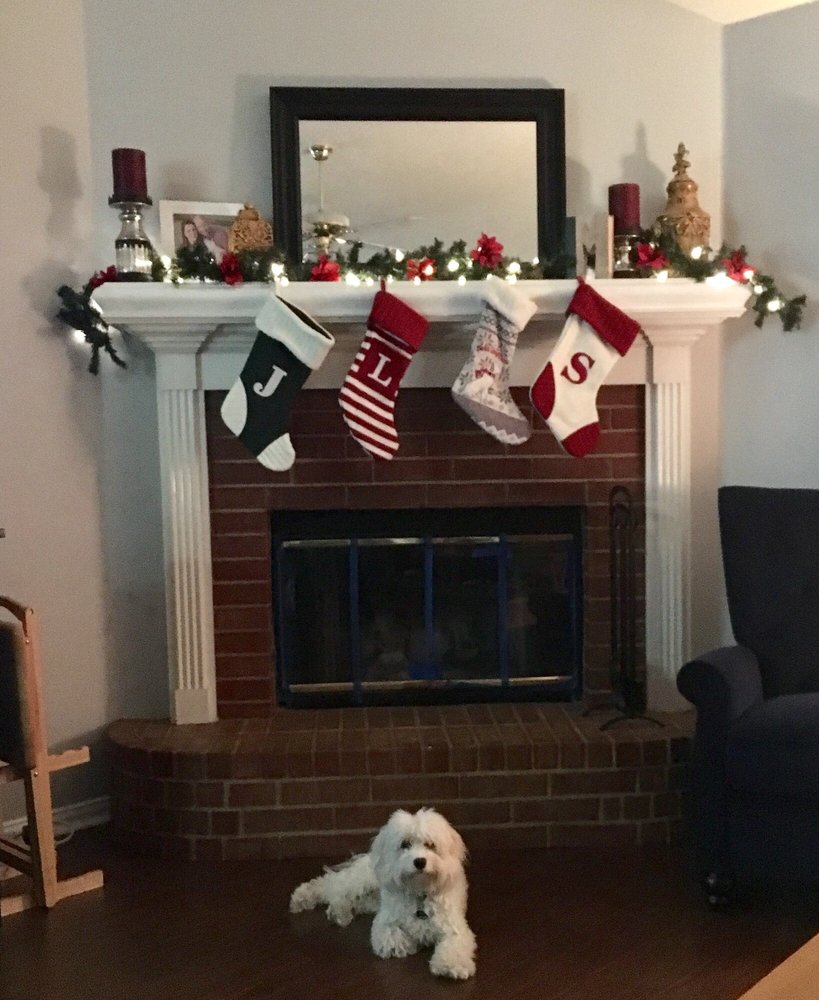 TOP HAT GROOMING Updated September 2024 516 Water St, Waxahachie