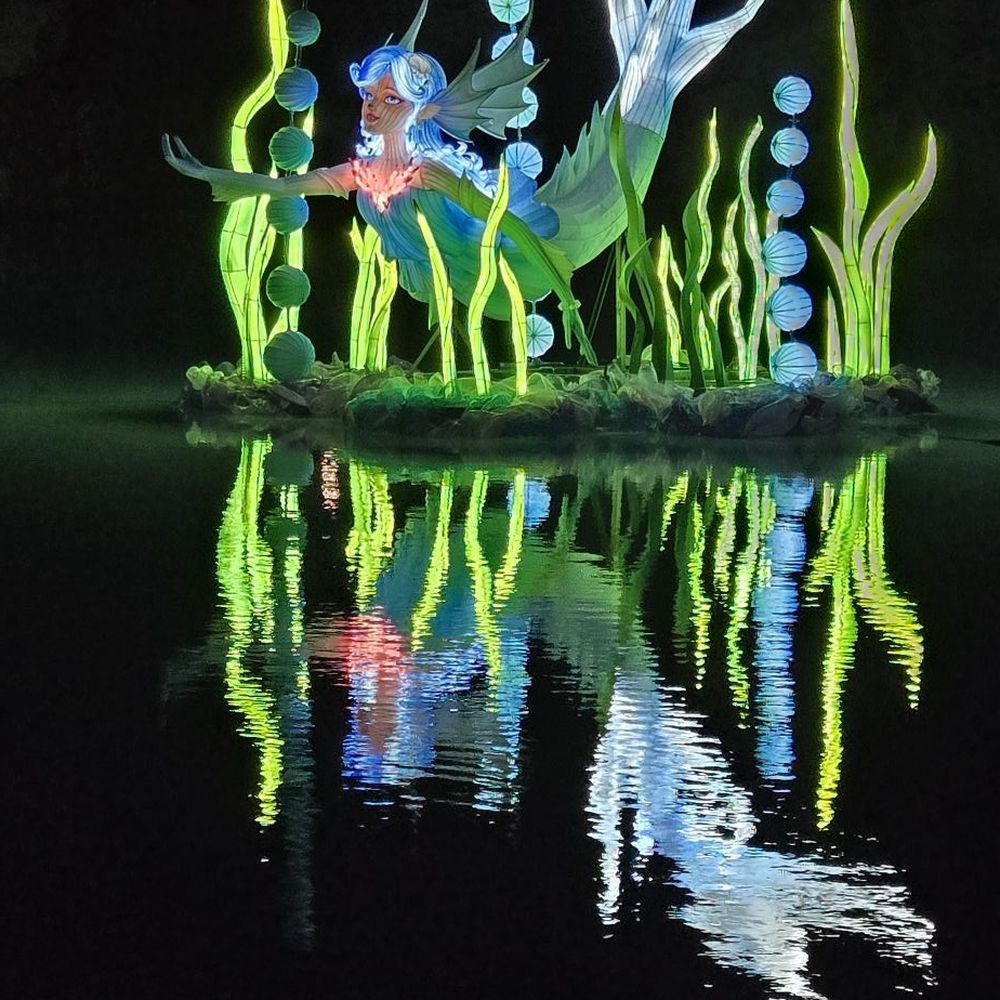 Aquatica Orlando - Mermaid artwork - Water Parks Near Me - Orlando, Florida Aquatica Orlando - Mermaid artwork - Water Parks Near Me - Orlando, Florida