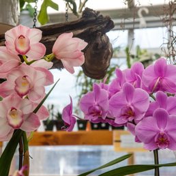 PRIMEX GARDEN CENTER - Updated February 2026 - 63 Photos & 78 Reviews