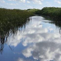 West Palm Beach Airboat Rides