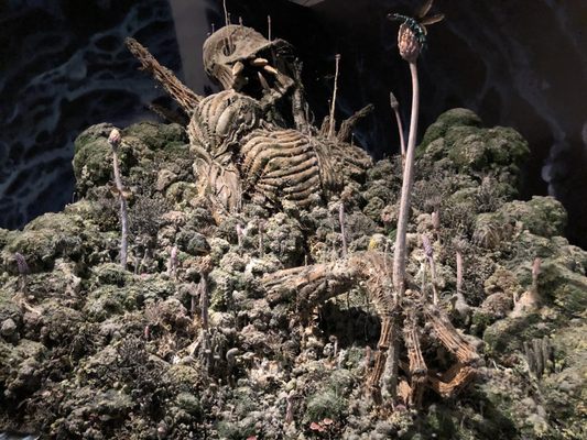 Matsuya Ginza by null