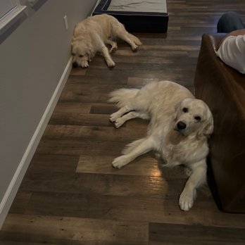 Muddy Paws Grooming - Pet Groomers Near Me - Oakley, California Muddy Paws Grooming - Pet Groomers Near Me - Oakley, California