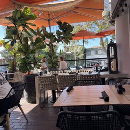 Patio Patio