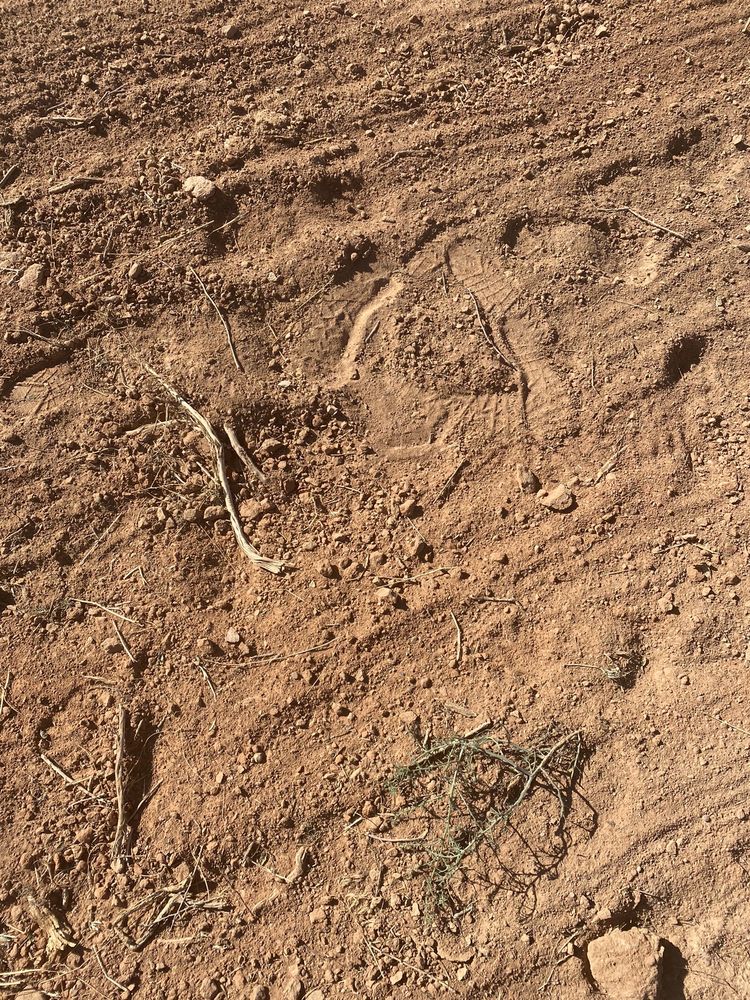 BRAY & COMPANY PROPERTY MANAGEMENT Updated October 2024 19 Photos