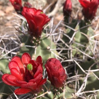 Arroyo Hondo Open Space - Hiking Near Me