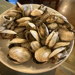 Steamers Steamers