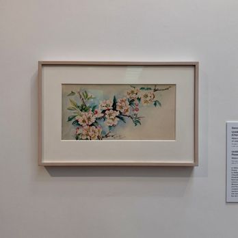 Georgia O'Keeffe Museum - Art Museums Near Me - Santa Fe, New Mexico