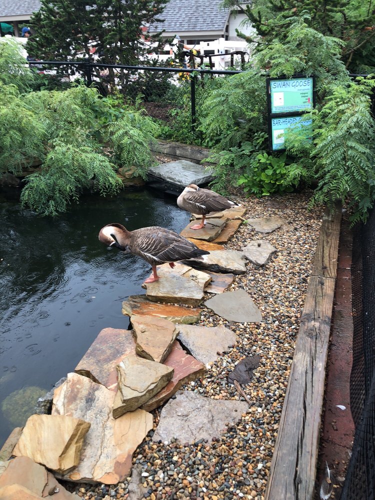 Miller Park Zoo 1020 S Morris Ave, Bloomington, IL, United States