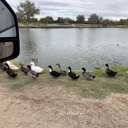 Hide Away Lakes - Quack quack!