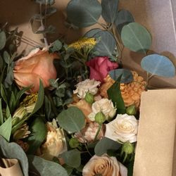 Leis de Buds