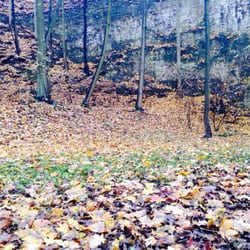 Park im. Wojciecha Bednarskiego