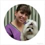 Photo of Designer Dogs