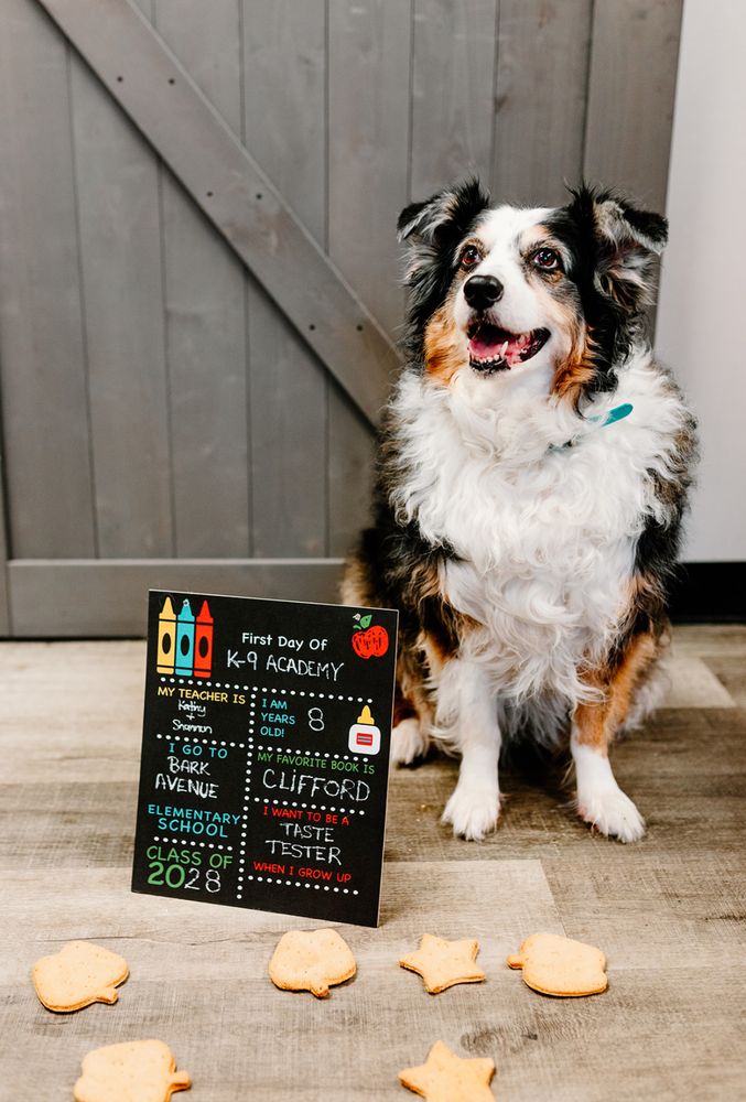 Bark Avenue Bakery Image