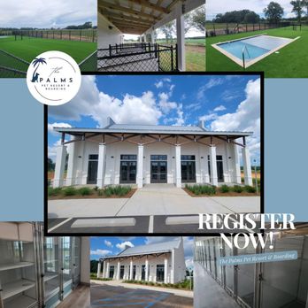 1. The Palms Pet Resort & Boarding