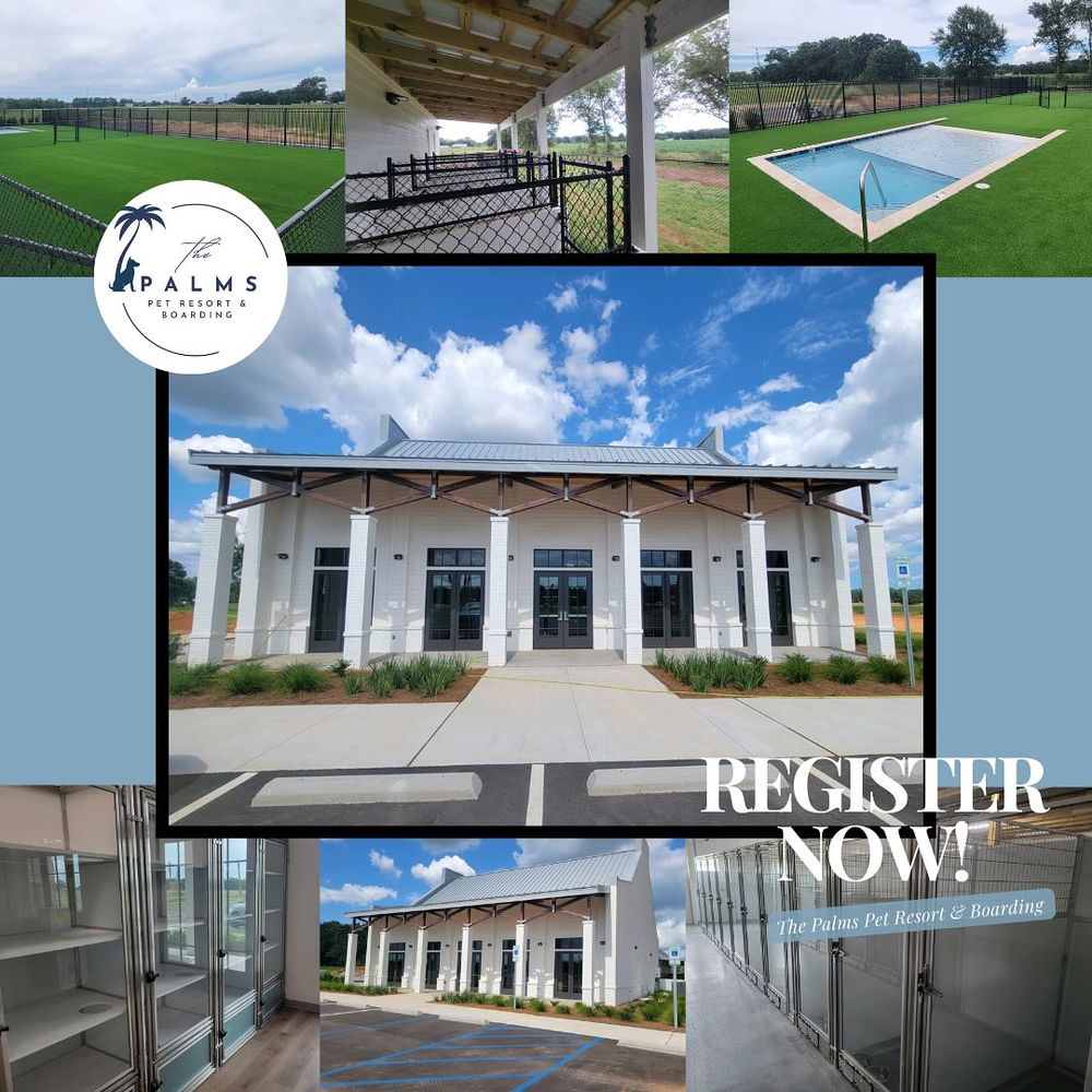 THE PALMS PET RESORT & BOARDING - Updated October 2025 - 25614 State ...