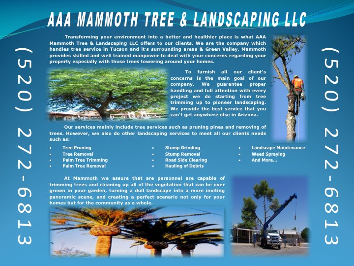 AAA Mammoth Tree and Landscaping - tree service in Tucson, AZ