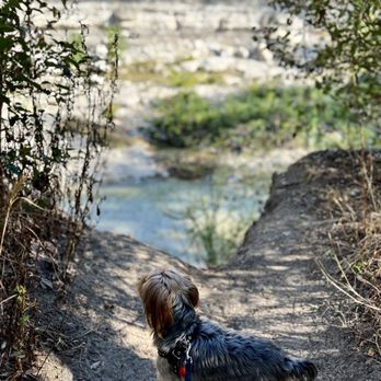 Spring Creek Nature Area Trail - Trail to overlook the creek - Hiking Near Me - Richardson, Texas Spring Creek Nature Area Trail - Trail to overlook the creek - Hiking Near Me - Richardson, Texas