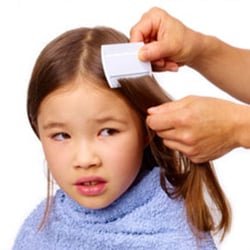 Happy Hair Professional Lice Removal