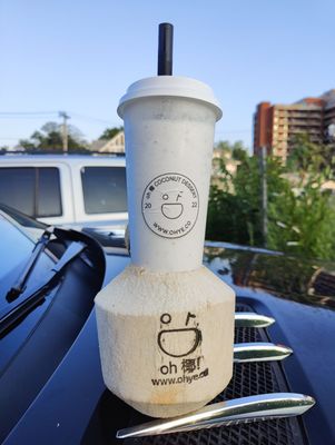 Oh Ye Coconut Desserts by null