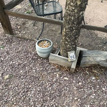 Mountain Hi Lodge - Hotels Near Me - Alpine, Arizona