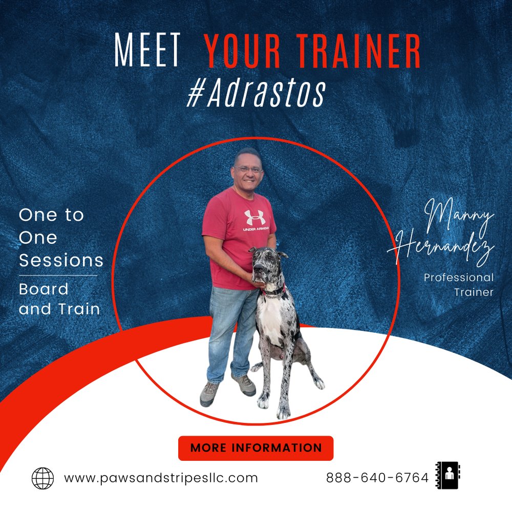 Color Line ferry with a dog : r/Norway, image size:1000x1000