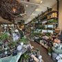 Anthropologie