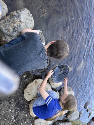 Sutter's Mill by null