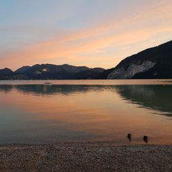 Romantik-Camping Wolfgangsee Lindenstrand - Ufer am Campingplatz