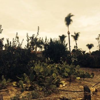 Batiquitos Lagoon Foundation - Community Service/Non-Profit Near Me - Carlsbad, California