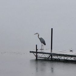 Lake Canandaigua