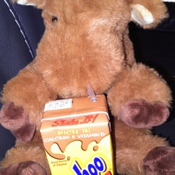 Douglas Company - Sigmund Boomer Moose