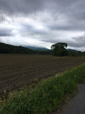 Lamoille Valley Bike Tours by null