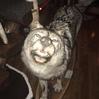 Ishnala - Beautiful creature! - Steakhouses Near Me - Wisconsin Dells, Wisconsin