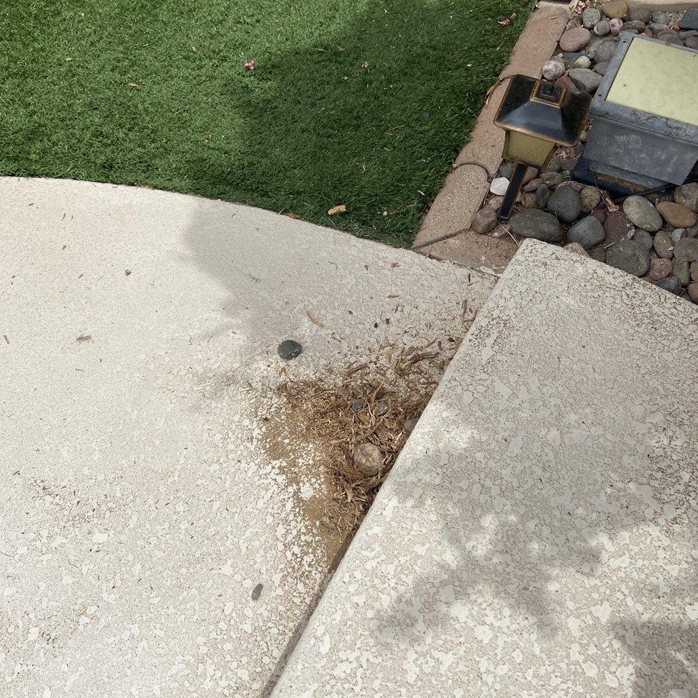 A Cut Above Tree Service - No clean up - Tree Services Near Me - Las Vegas, Nevada A Cut Above Tree Service - No clean up - Tree Services Near Me - Las Vegas, Nevada