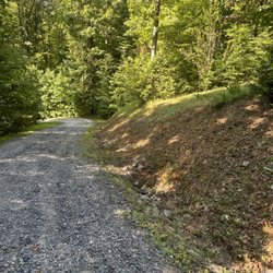 TNE Lawn & Trimming