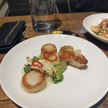 How to Cook a Wolf - Scallops - Italian Near Me - Seattle, Washington