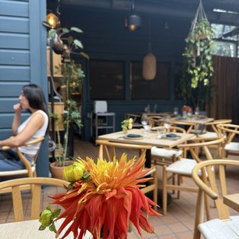Camino Alto - Patio on a gorgeous evening in September - New American Near Me - San Francisco, California Camino Alto - Patio on a gorgeous evening in September - New American Near Me - San Francisco, California