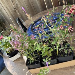 Can't wait to get this into the ground! Can't wait to get this into the ground!