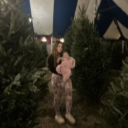 Happy Holiday Christmas Trees - My daughter and granddaughter picked our tree 2024