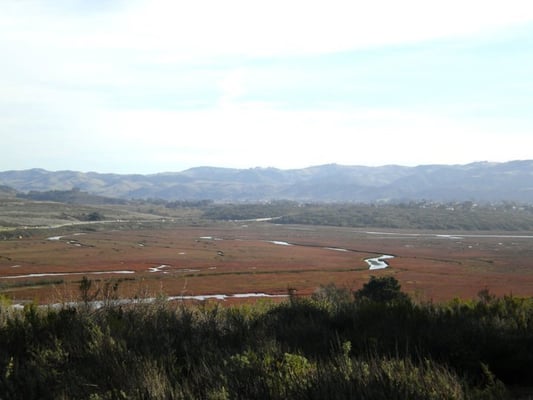 Morro Bay State Park by null